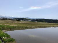 写真：環水平アークが空と田んぼに