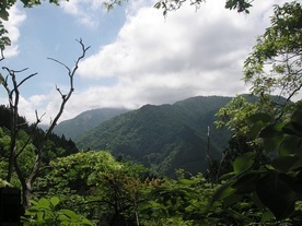 写真：論田山山上より見た亀谷方面