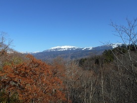 写真：大多和峠から眺めた薬師岳