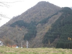 写真：鳥ヶ尾山の鳥