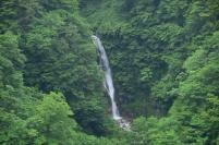 写真：和田川に流れ落ちる西坂森谷の滝