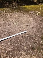 写真：格子状の線刻を確認した石
