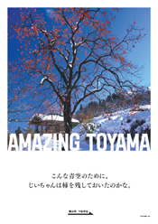 写真：11-山田のポスター