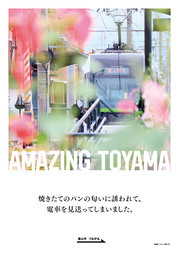 AMAZING TOYAMA3