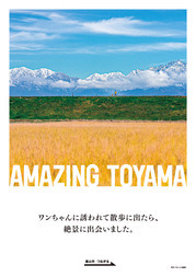 AMAZING TOYAMA4