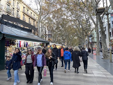 写真:スペインの様子