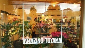 花メイトの店舗正面ガラス面