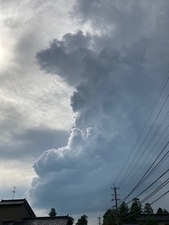 写真：空高くのびた雲