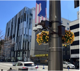 平和通りの設置写真