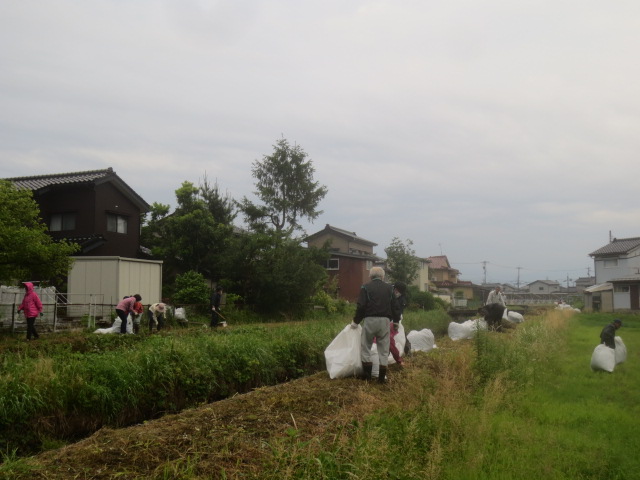 下条川（上流側）
