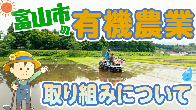 紹介動画の一部分