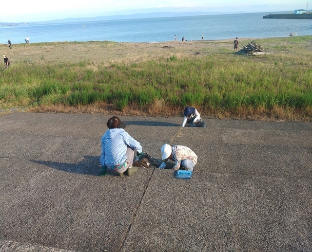 打出海岸