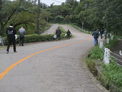 桜の広場3