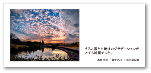 展示イメージ画像