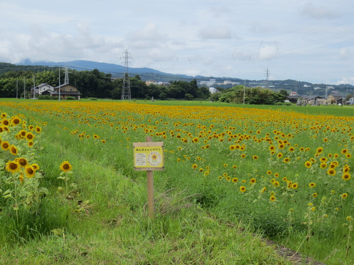 八尾町滅鬼他地内