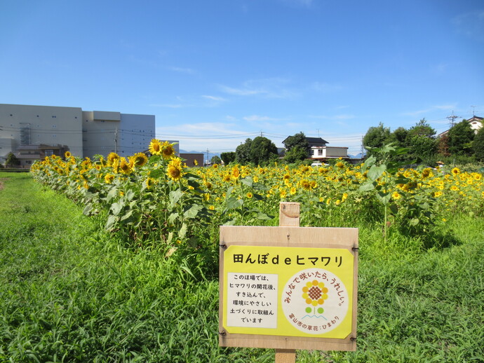 上野地内