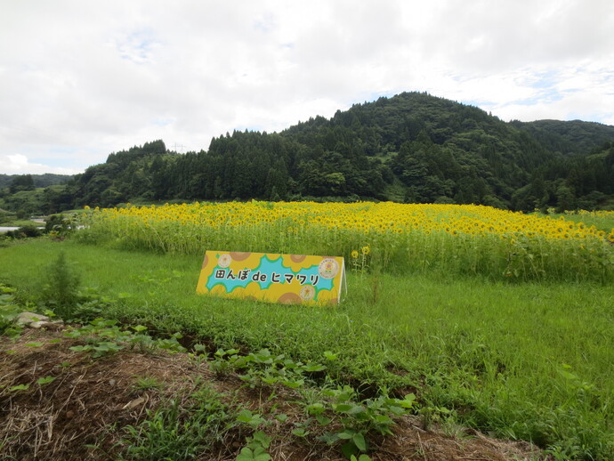 山田北山地内
