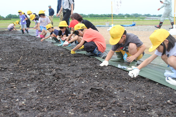 6月27日　水橋西公園予定地での種まきの様子