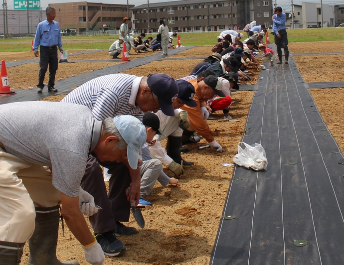 6月28日　天正寺公園予定地での種まきの様子