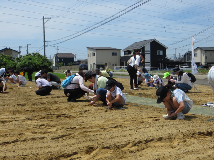 6月29日　和合公園予定地での種まきの様子