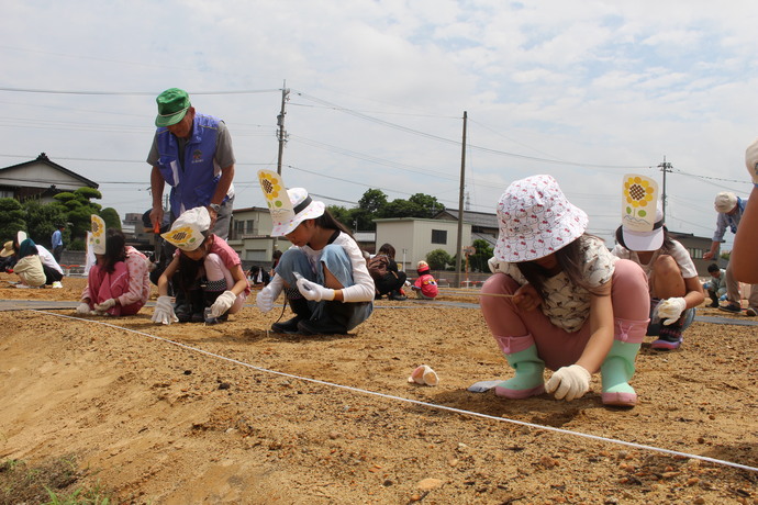 6月28日　天正寺公園予定地での種まきの様子
