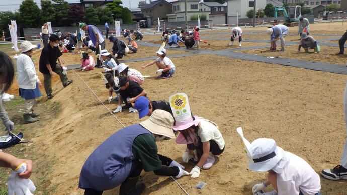 6月28日　天正寺公園予定地での種まきの様子