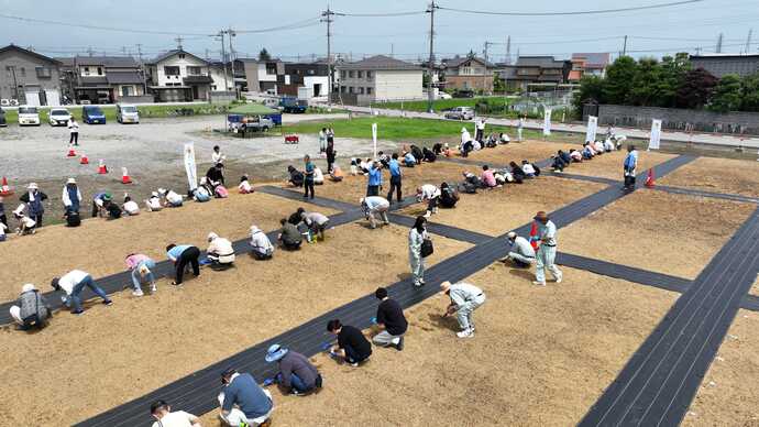 6月28日　天正寺公園予定地での種まきの様子