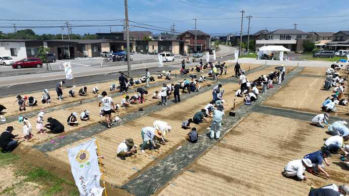 6月29日　和合公園予定地での種まきの様子