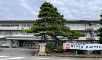 写真：母校のシンボルツリー