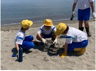 岩瀬浜でマイクロプラスチック探し
