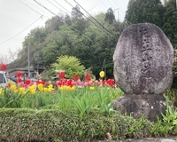 大山寺駅前交差点の道標