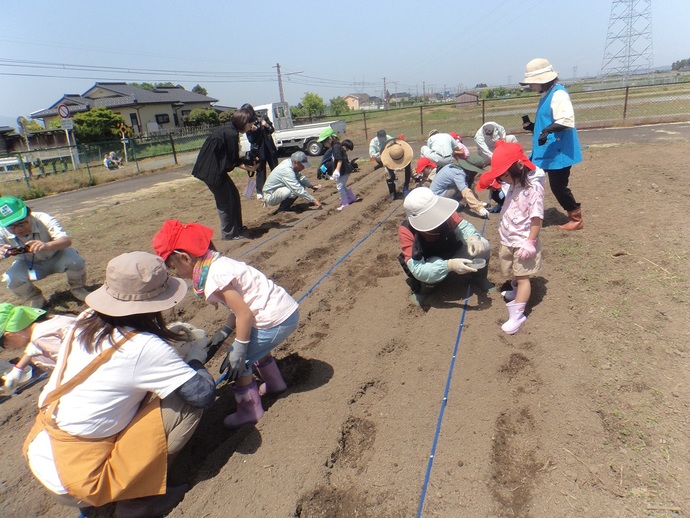 種まきの様子
