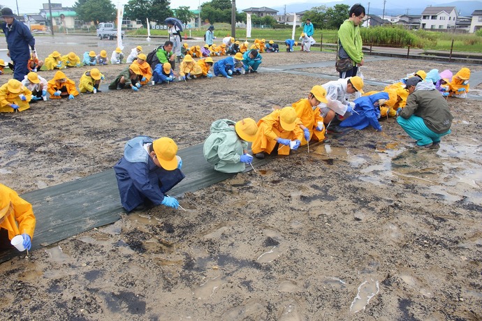 小学生のみんな