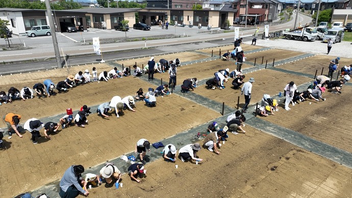 種まきの様子