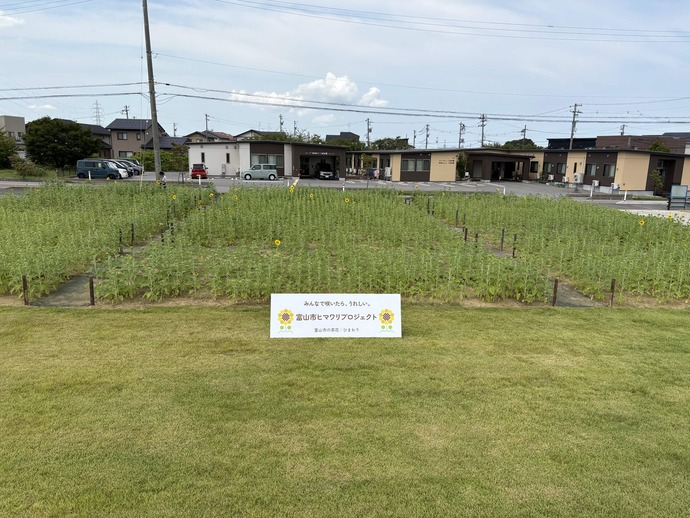 8月20日
