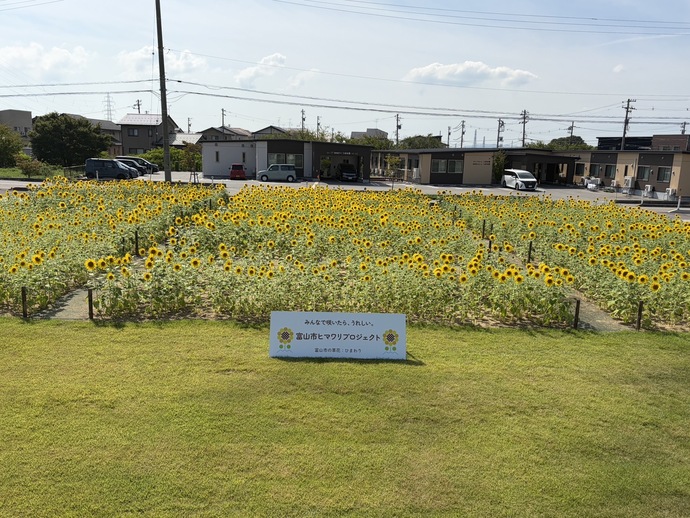8月26日