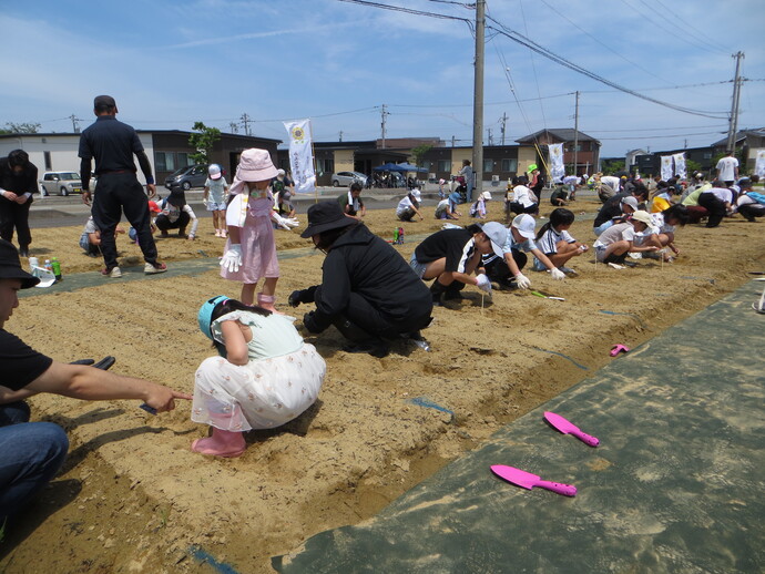 種まき作業