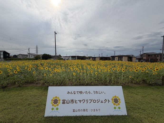 8月26日
