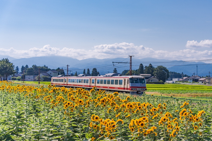 ひまわり電車