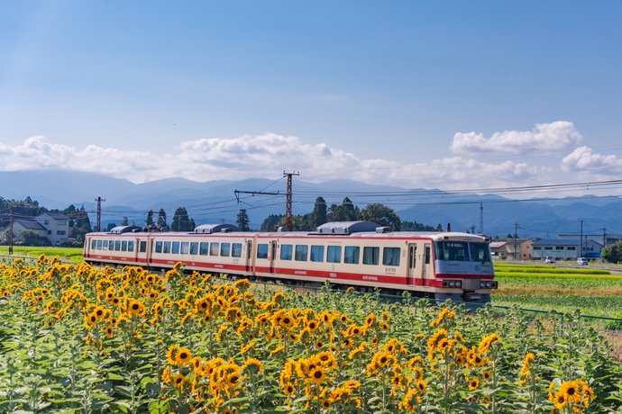 ひまわり電車