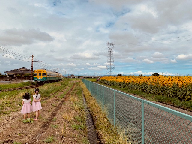 ひまわりとかぼちゃ電車、なかよしだね！