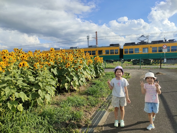 かぼちゃ電車とひまわりでラッキー