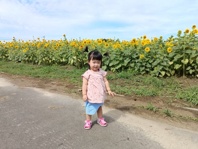 暑くても元気！ももちゃんとひまわり