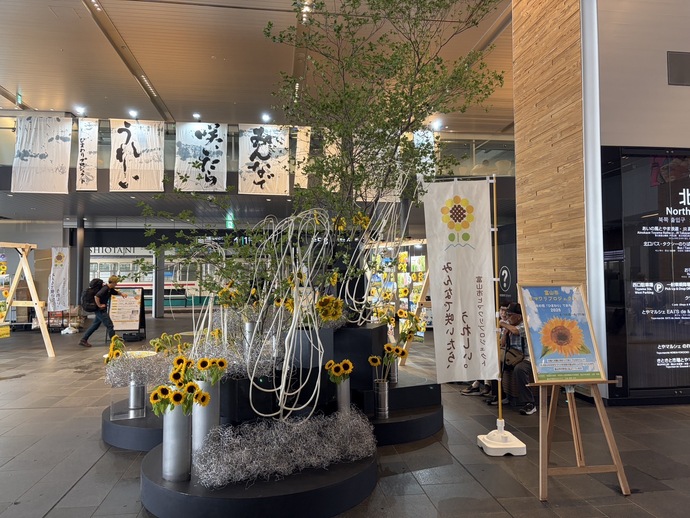 ヒマワリ展示の様子