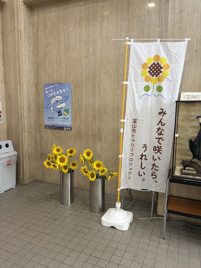 ヒマワリ展示の様子