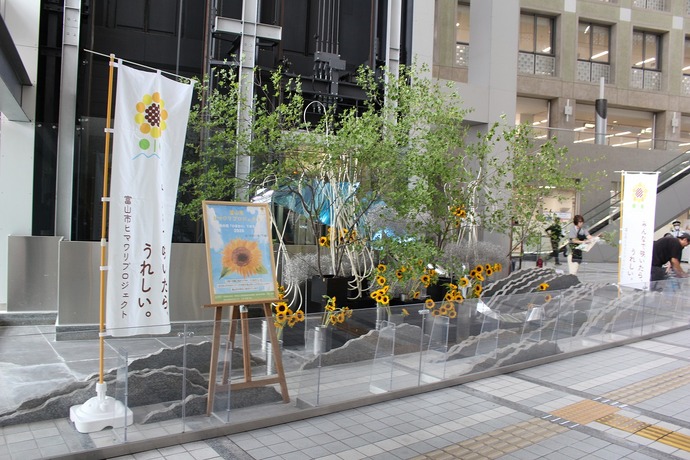 ヒマワリ展示の様子