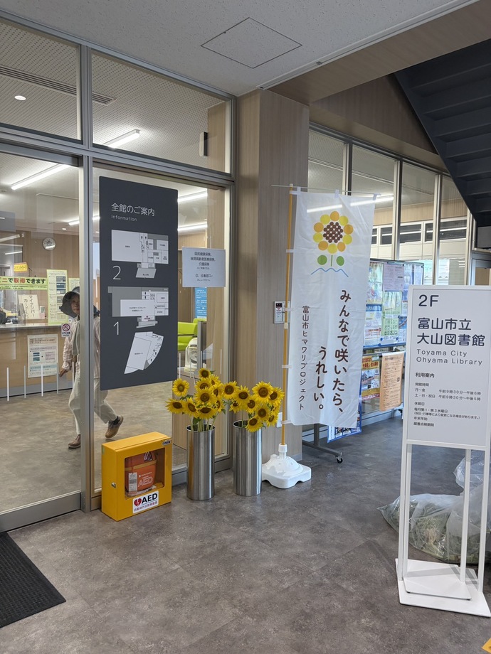 ヒマワリ展示の様子