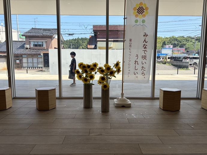 ヒマワリ展示の様子