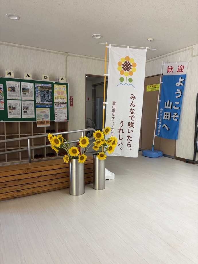 ヒマワリ展示の様子