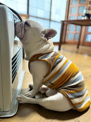 冬本番、風邪などひかぬようご自愛ください